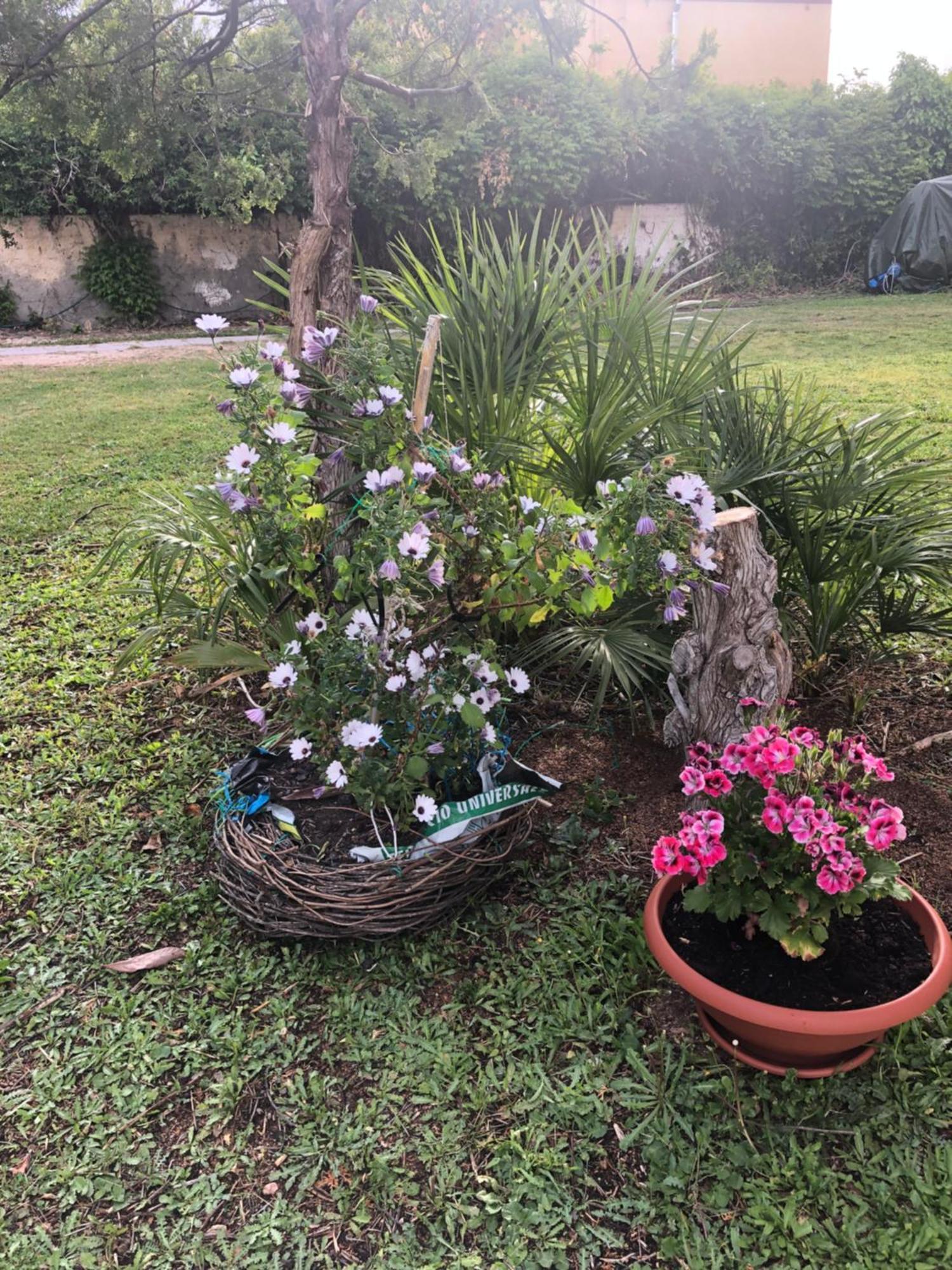 La Lantana Nuova Bed and Breakfast Flumini di Quartu Εξωτερικό φωτογραφία